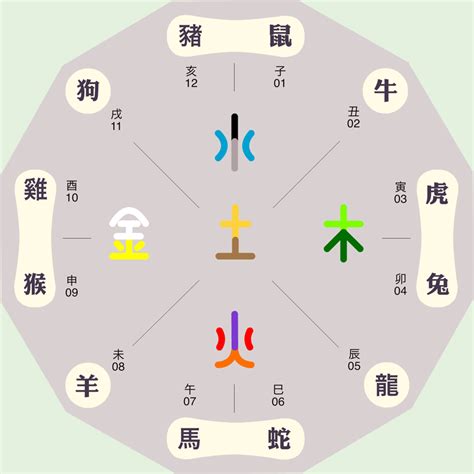 十二地支屬性|【12地支屬性】12地支屬性的奧秘：藴藏五行相生相剋之道